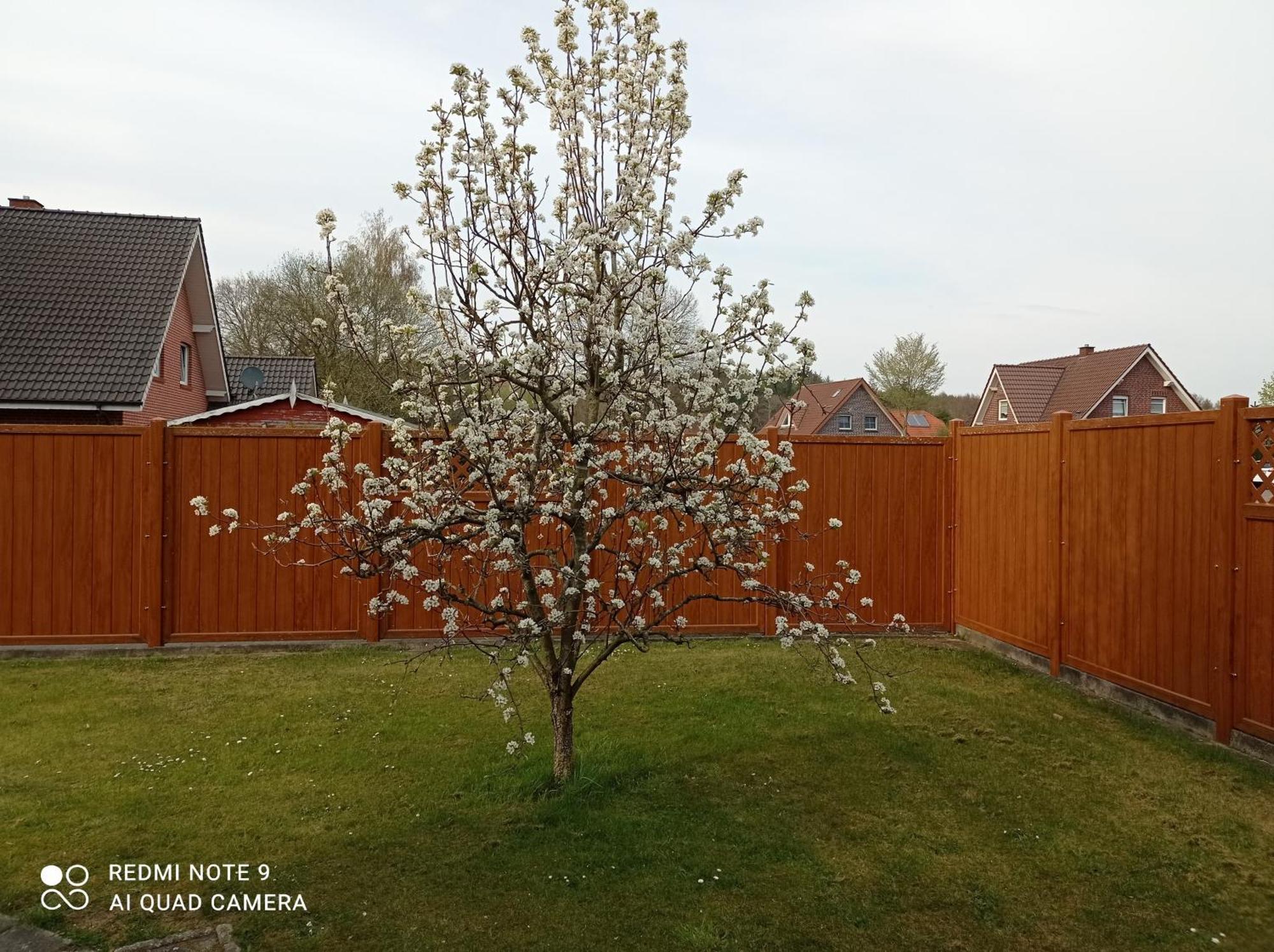 Ferienwohnung Gerda Lathen Bagian luar foto